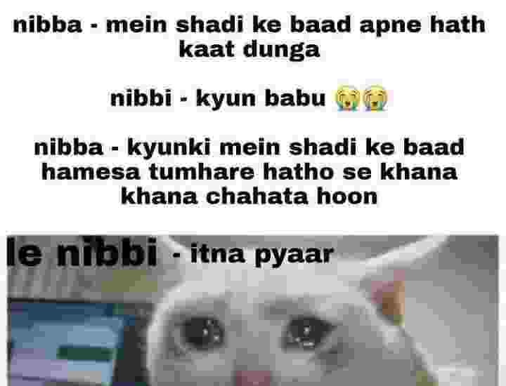 Nibba Nibbi meaning in Hindi