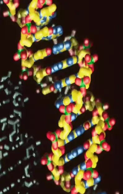 Revolutionary Advancement: Human Genome Enhanced for Equitable and Inclusive Future