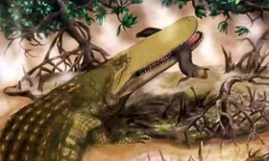 4-Million-Year-Old 'Last Crocodile in Europe' Resurfaces from the Sands of Time